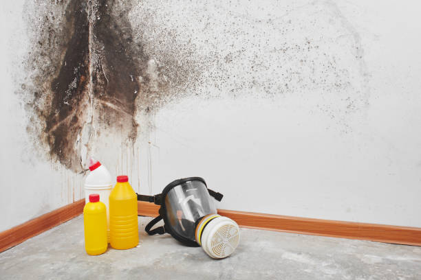 Water Damage Restoration in Lake Wales, FL